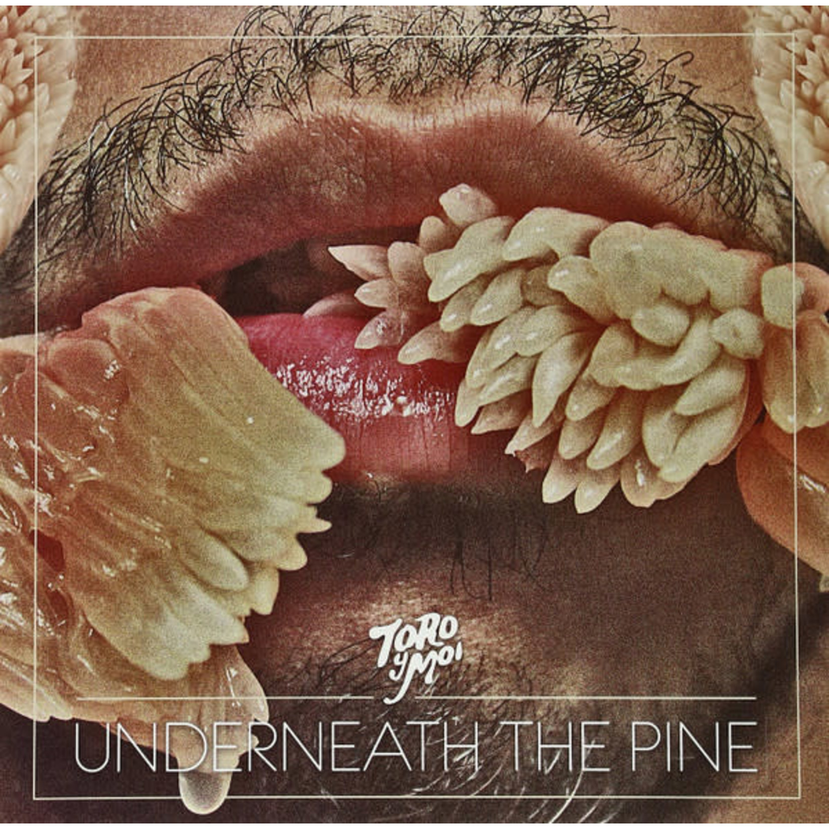 Carpark Toro Y Moi - Underneath The Pine (LP)