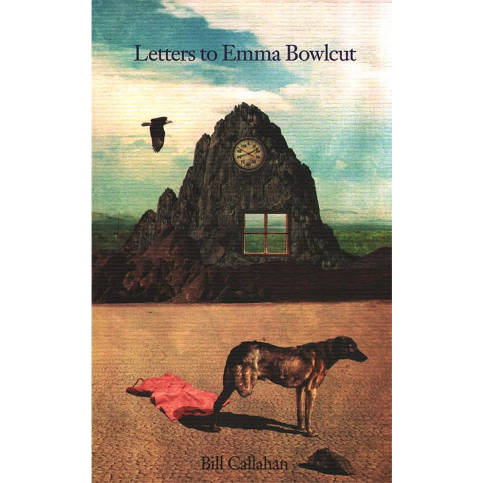 Drag City Bill Callahan - Letters to Emma Bowlcut (Book)