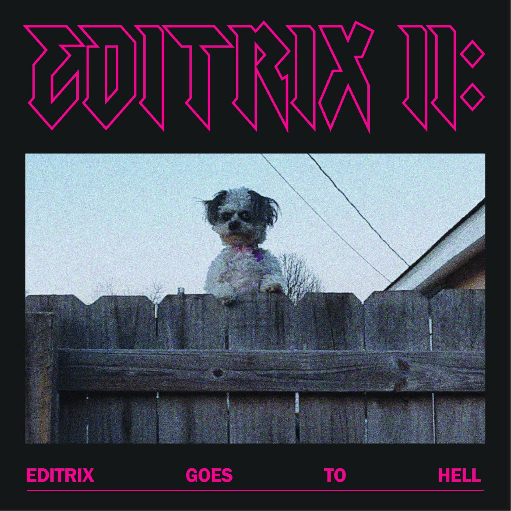 Editrix - Editrix II: Editrix Goes To Hell (LP)