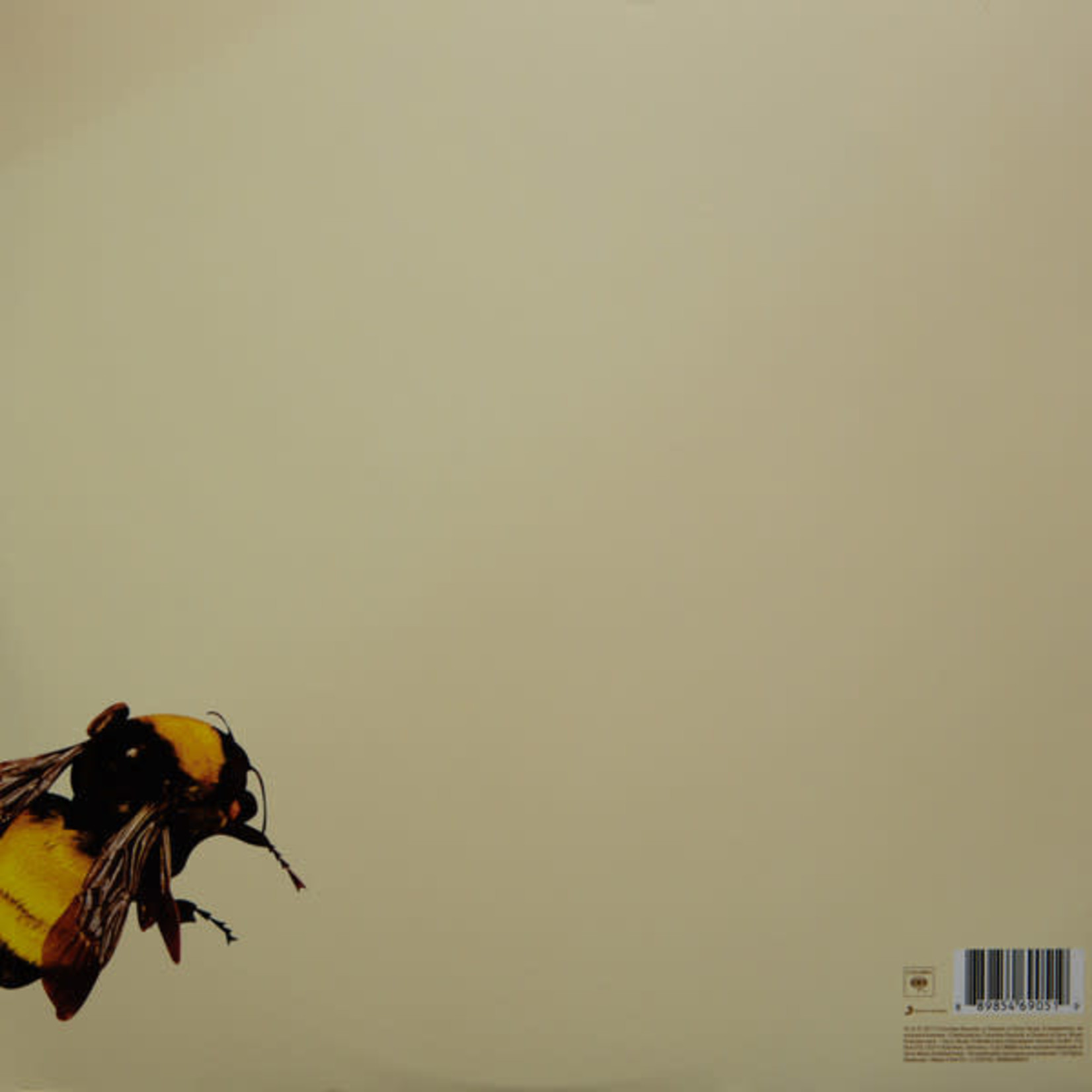 Columbia Tyler The Creator - Flower Boy (2LP)