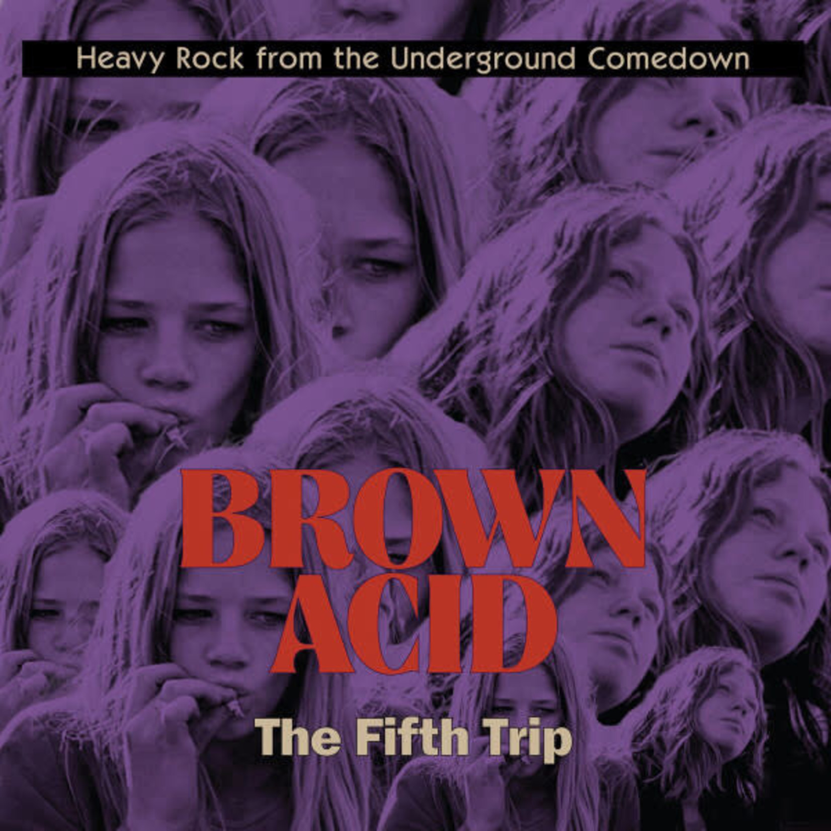 Riding Easy V/A - Brown Acid: The Fifth Trip (LP)