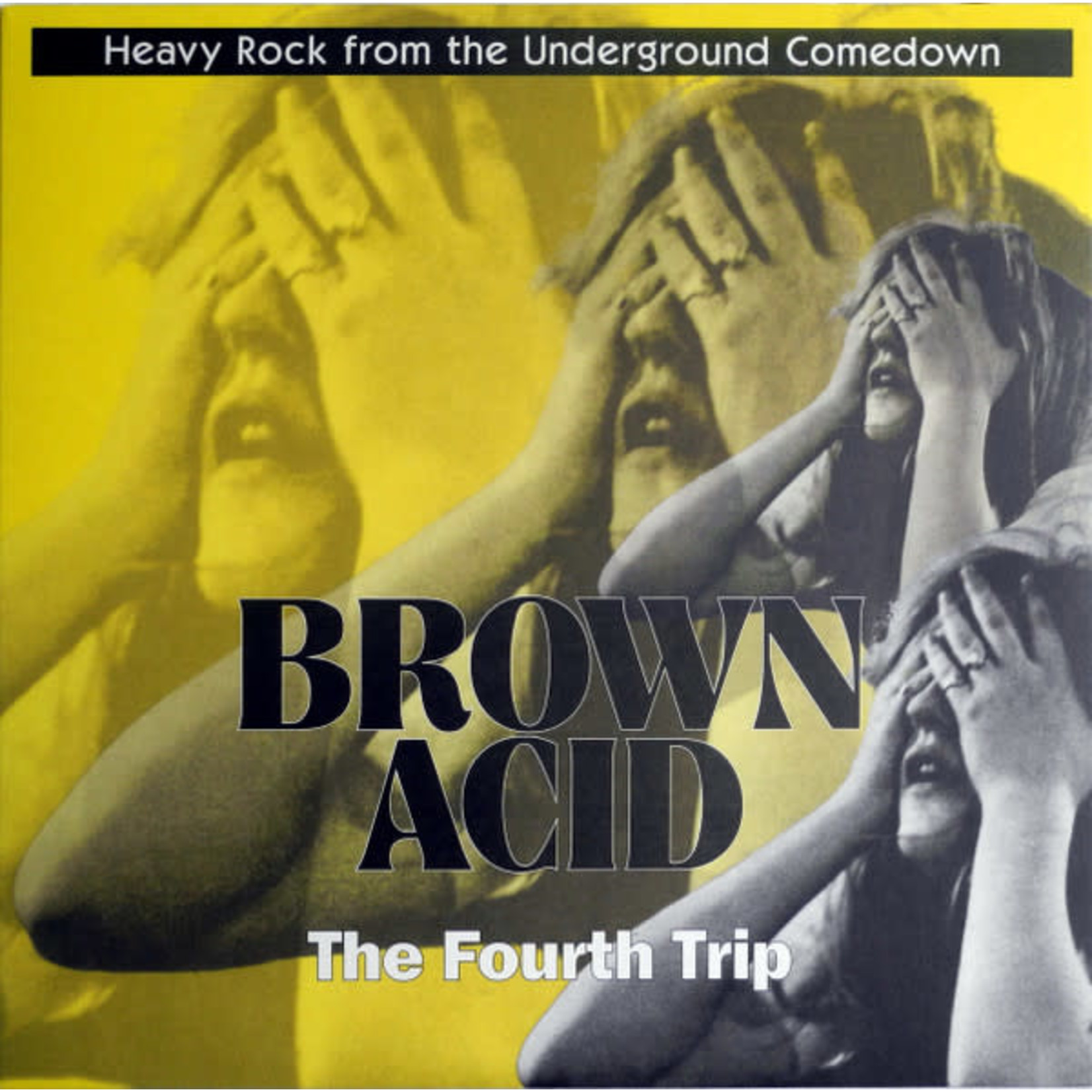 Riding Easy V/A - Brown Acid: The Fourth Trip (LP)