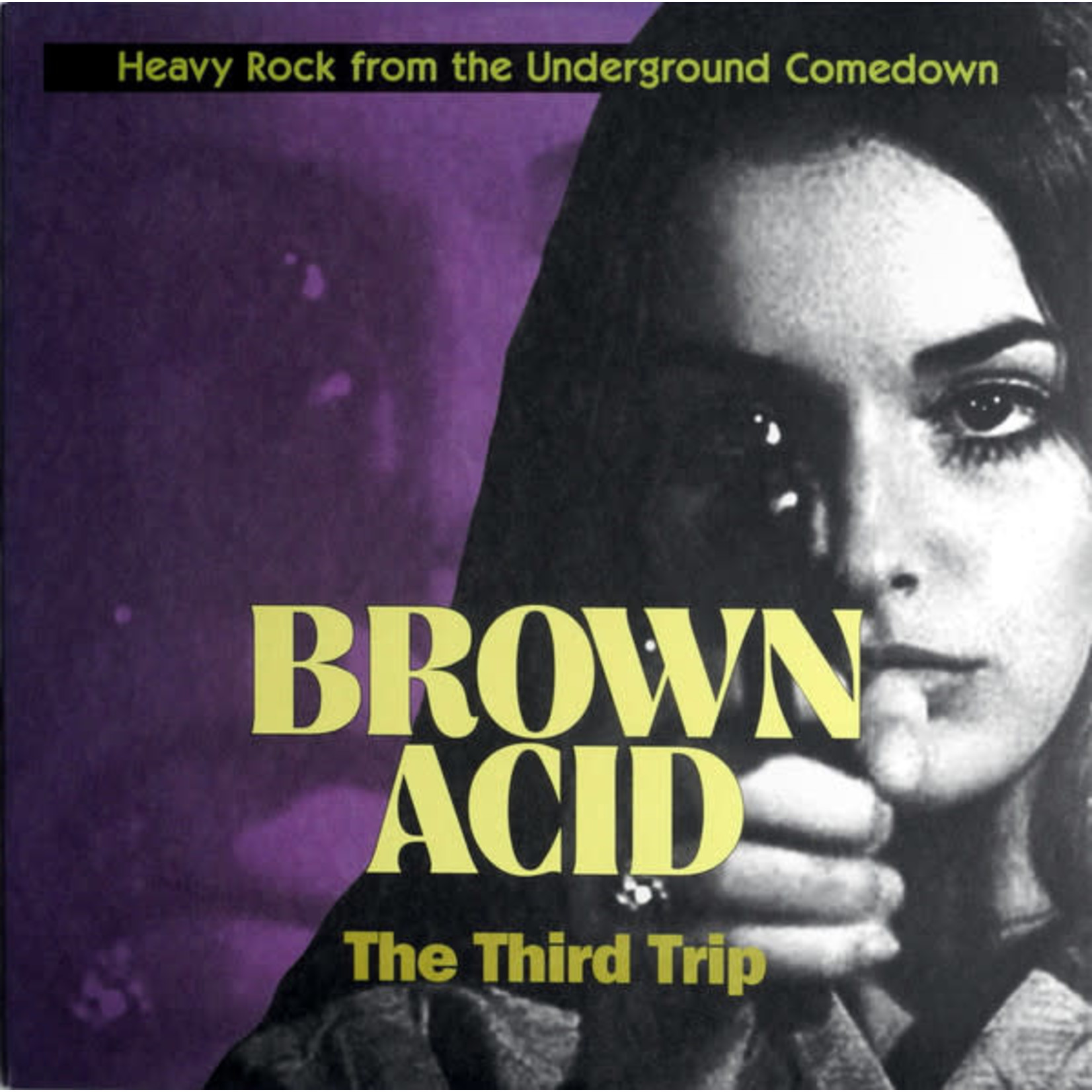 Riding Easy V/A - Brown Acid: The Third Trip (LP)