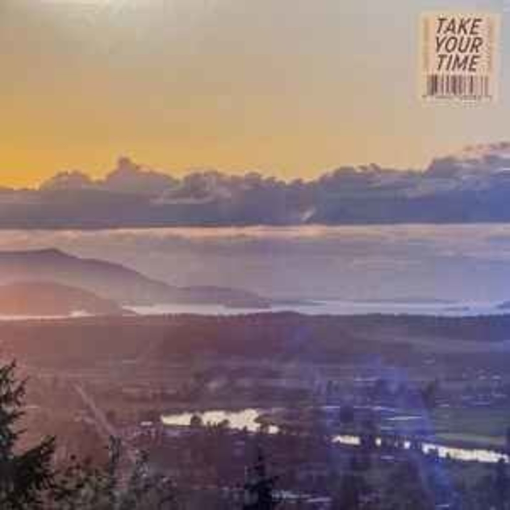 Damien Jurado - Take Your Time (10") [Etch]