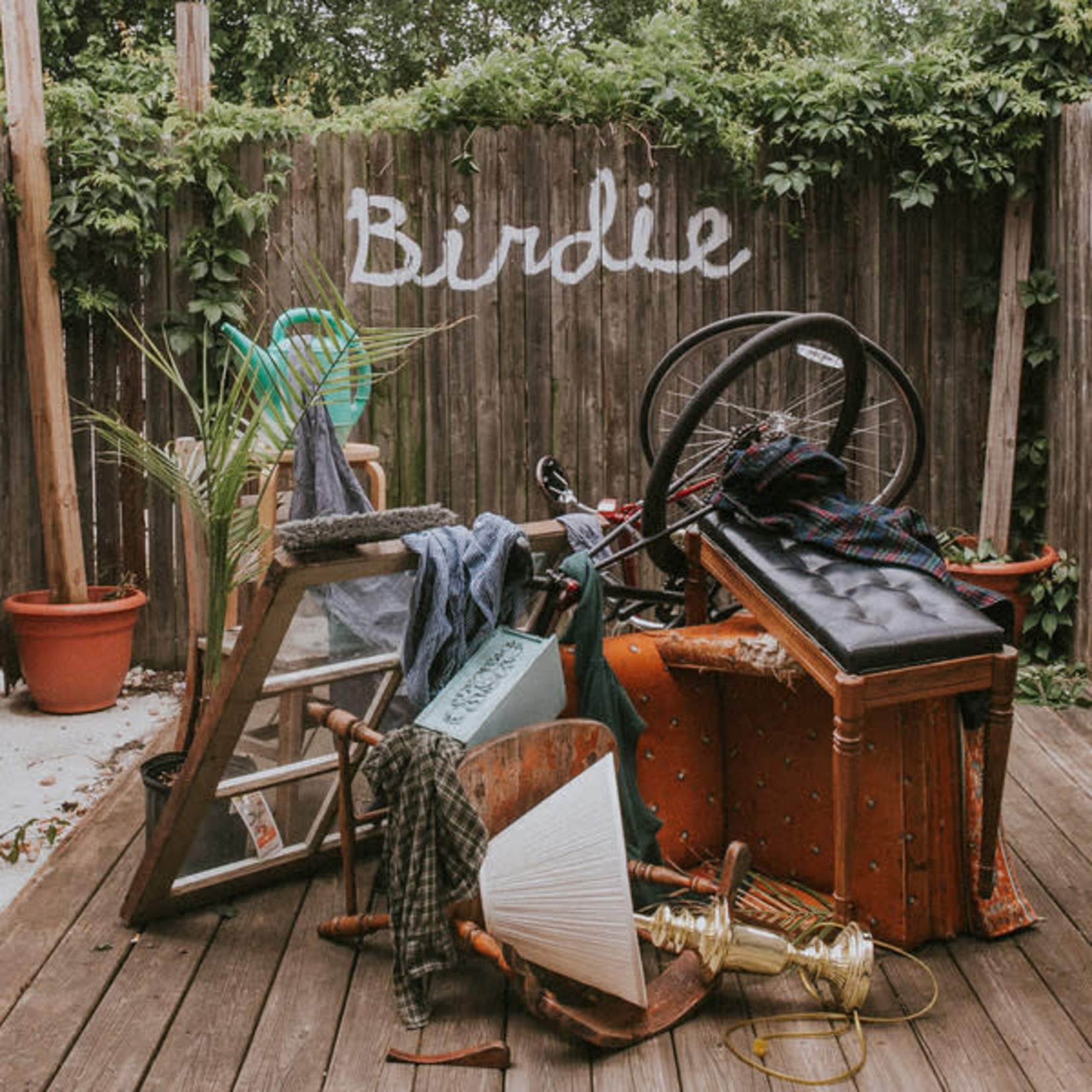 Lame-O Slaughter Beach, Dog - Birdie (LP) [Olive Green]