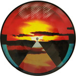 Record Store Day 2008-2024 Chris Robinson Brotherhood - Dice Game and Let It Fall (10") [Pic]