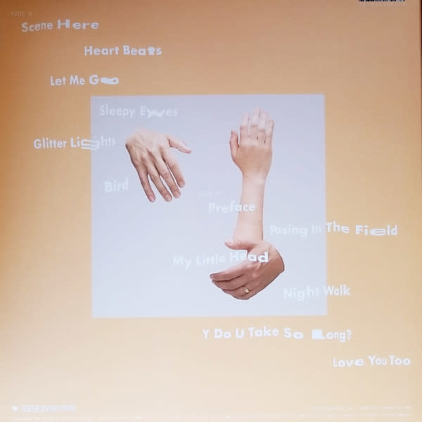 Sisters - Wait Don't Wait (LP)