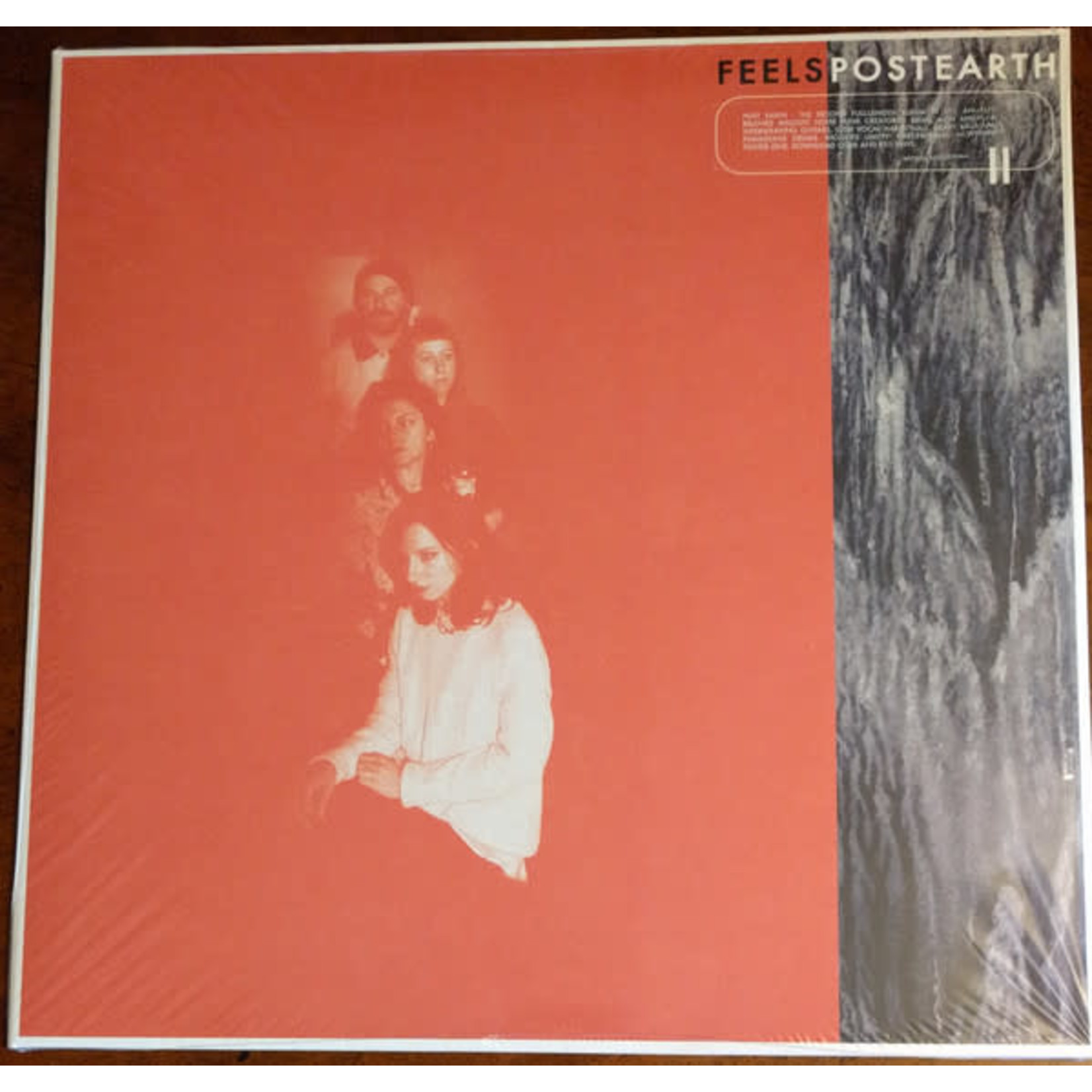 Wichita FEELS - Post Earth (LP) [Red]