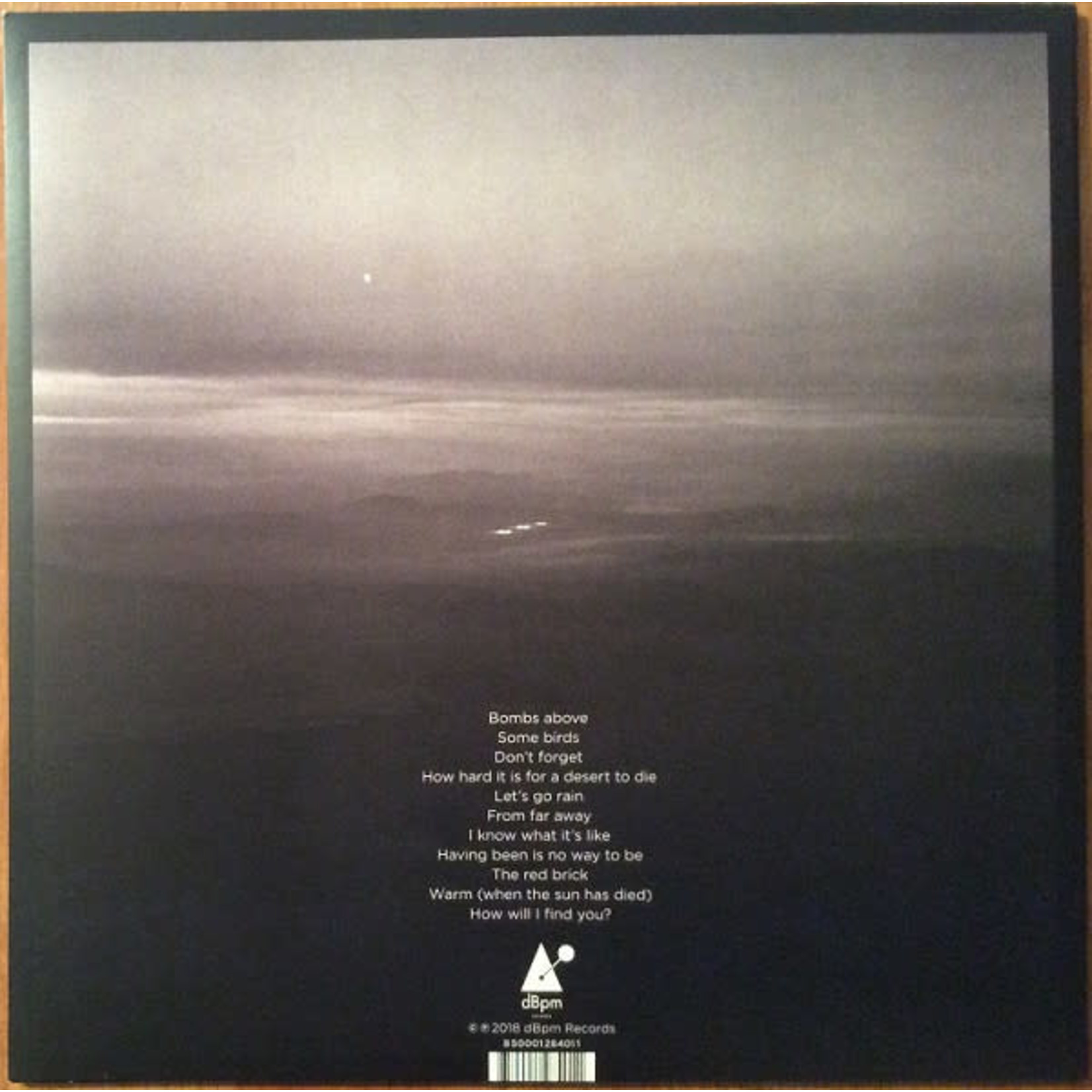 dBpm Jeff Tweedy - Warm (LP)