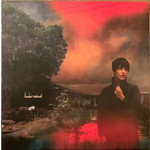 Jagjaguwar Sharon Van Etten - We've Been Going About This All Wrong (LP) [Smoke]