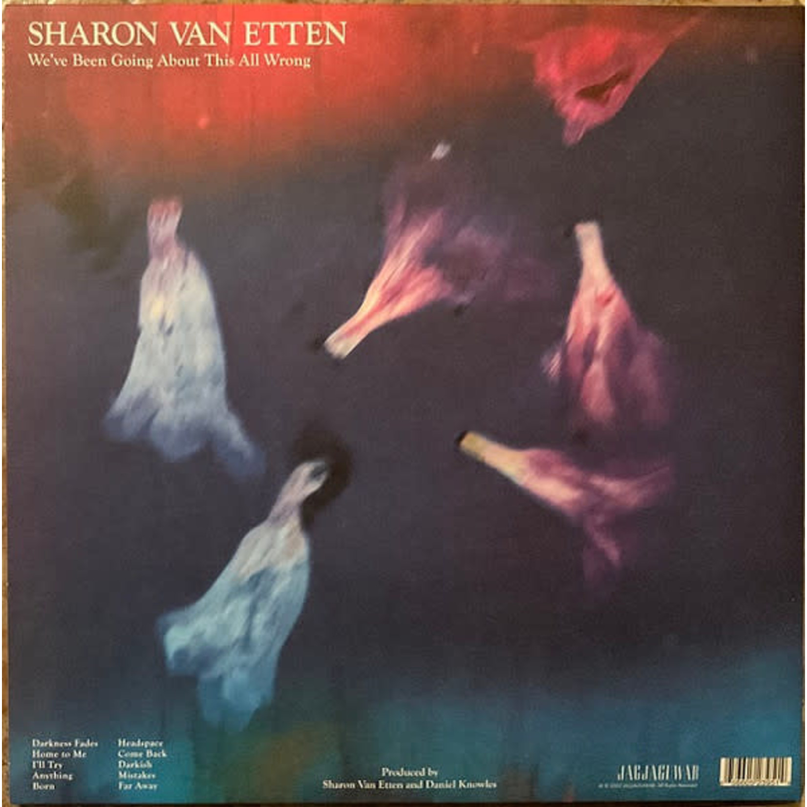 Jagjaguwar Sharon Van Etten - We've Been Going About This All Wrong (LP) [Smoke]