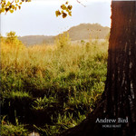 Fat Possum Andrew Bird - Noble Beast (2LP)