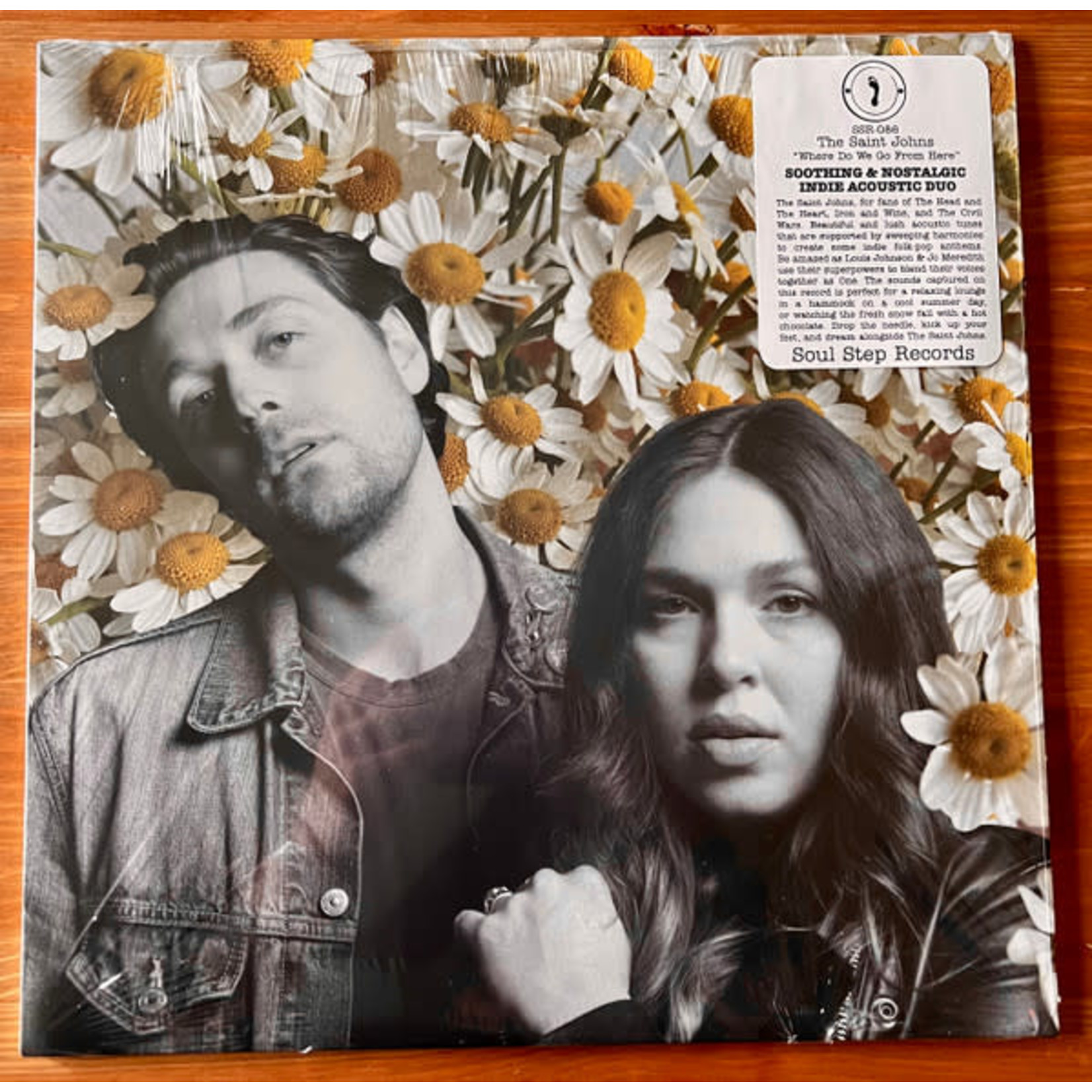 Saint Johns - Where Do We Go From Here? (LP)