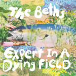 Carpark Beths - Expert In A Dying Field (LP) [Canary Yellow]