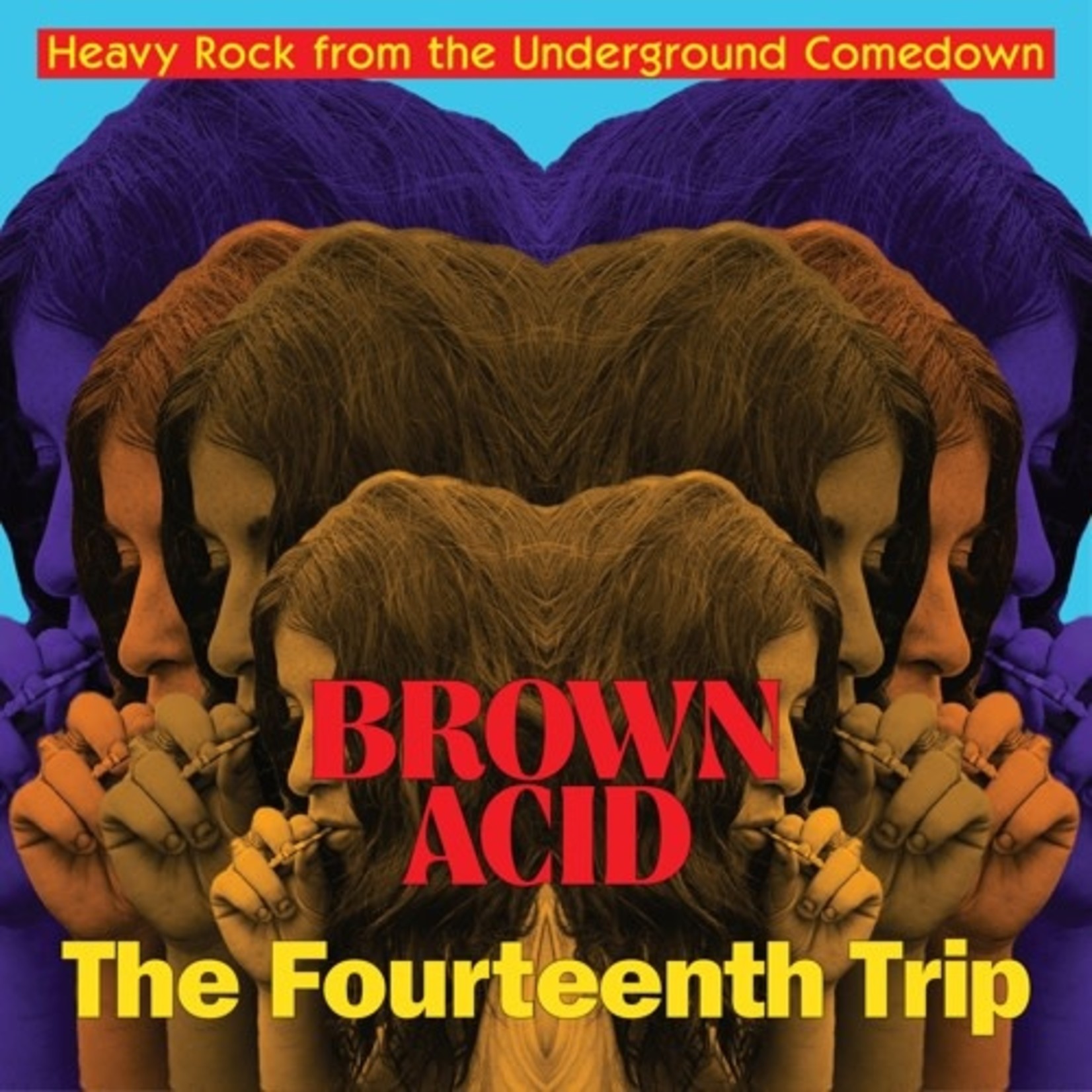 Riding Easy V/A - Brown Acid: The Fourteenth Trip (LP)