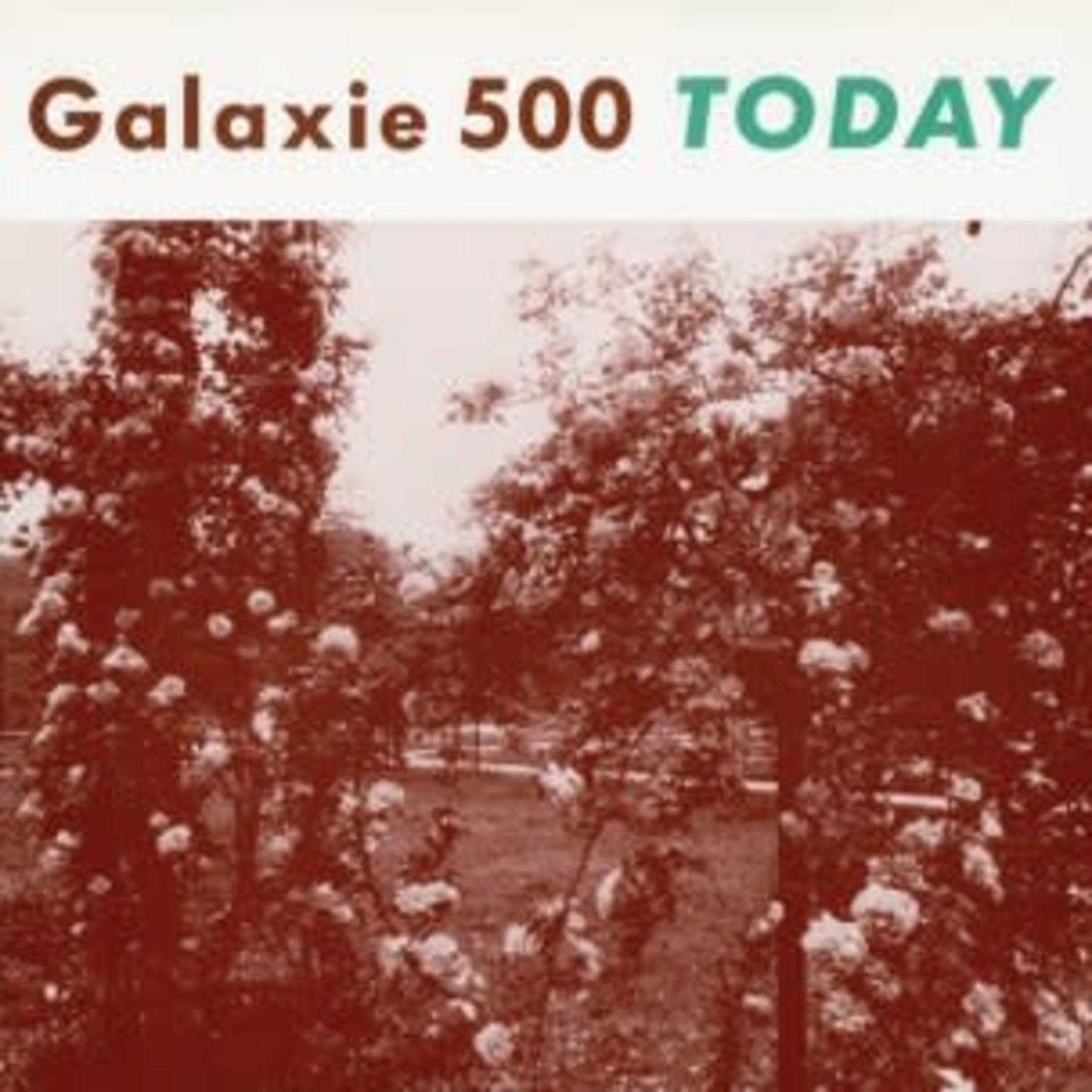 Galaxie 500 - Today (LP)