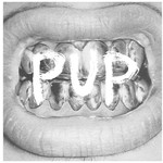 SideOneDummy Pup - Pup (LP)