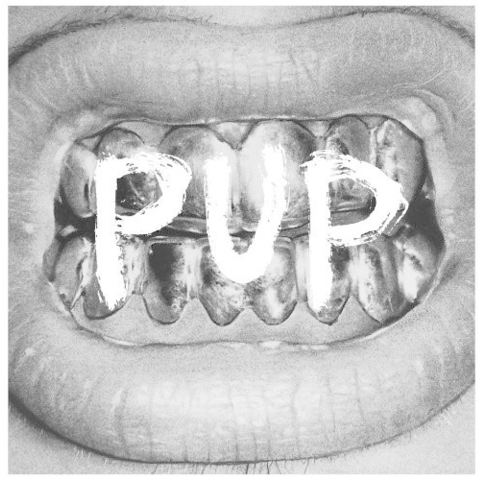 SideOneDummy Pup - Pup (LP)