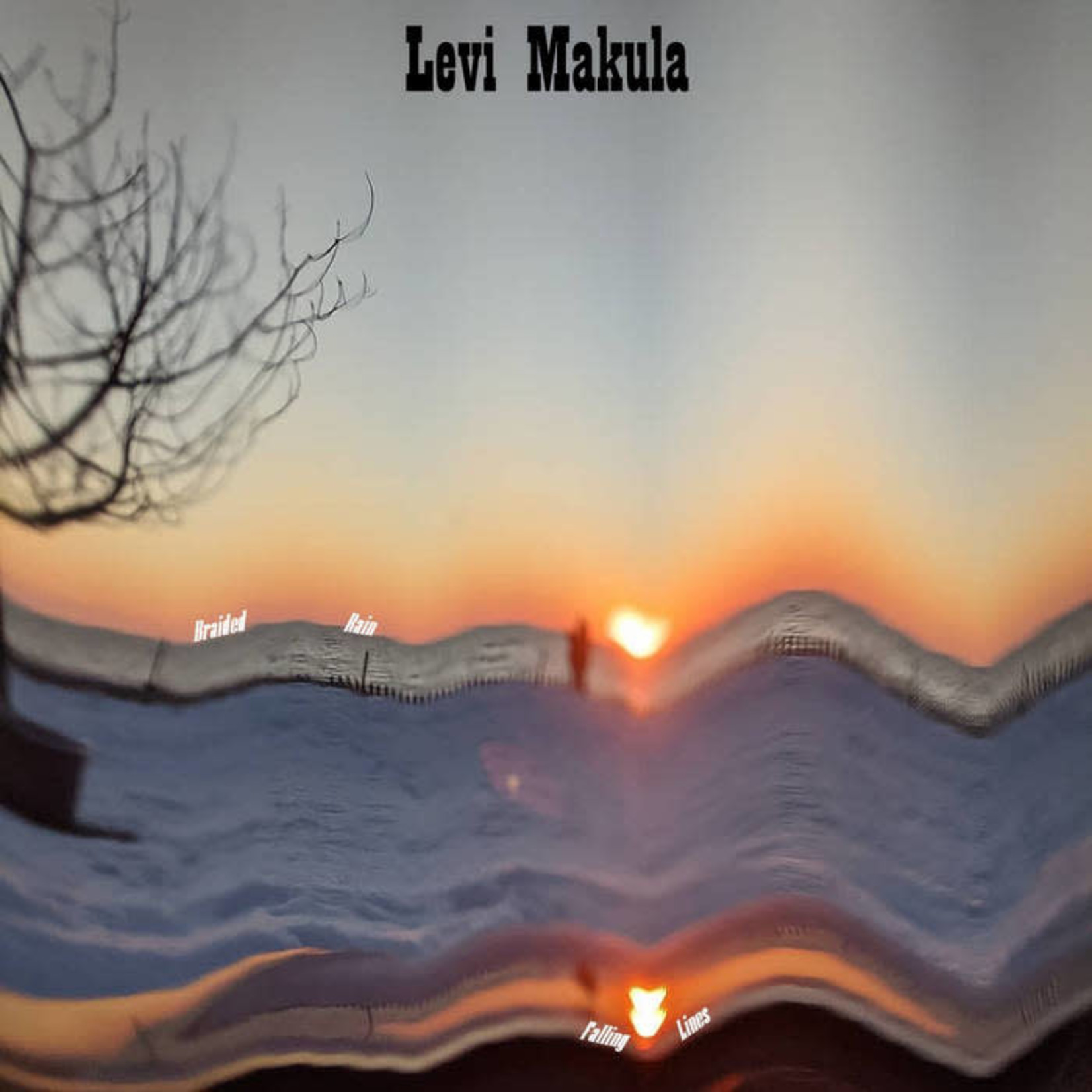 Levi Makula - Braided Rain, Falling Lines (CD)