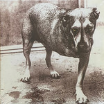 Alice In Chains - 3 Legged Dog (2LP) [Yellow]