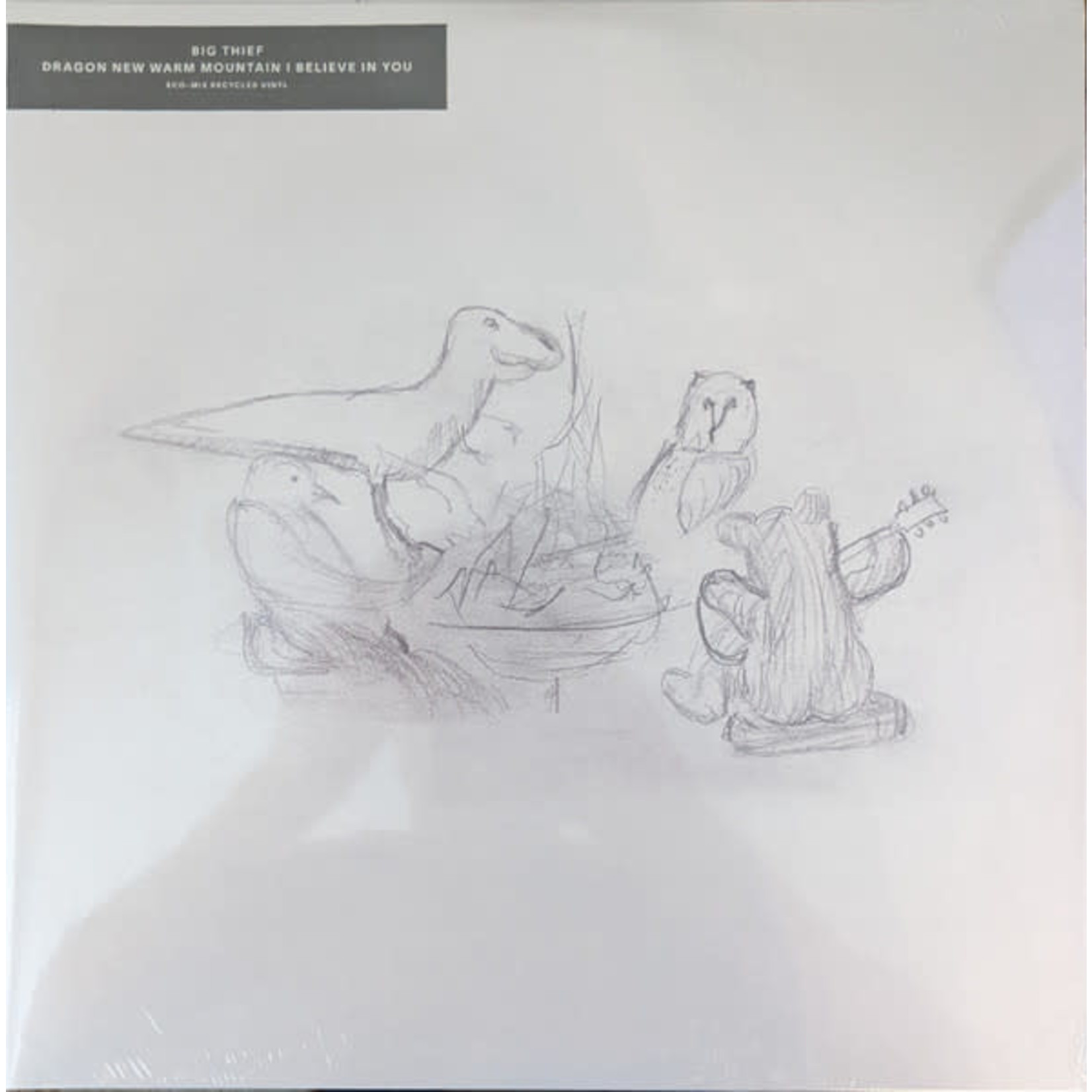 4AD Big Thief - Dragon New Warm Mountain I Believe In You (2LP)