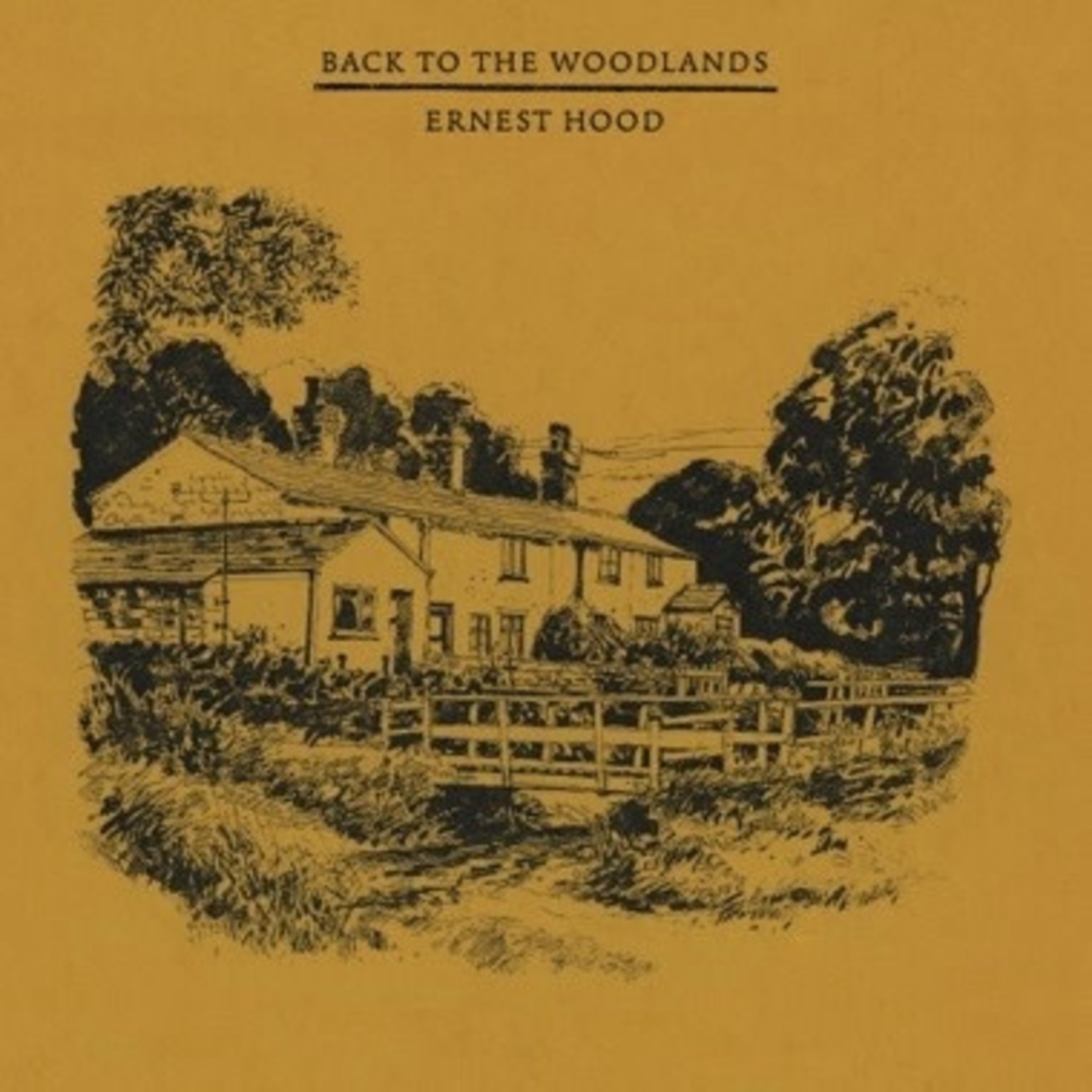 RVNG Intl Ernest Hood - Back to the Woodlands (LP) [Yellow]