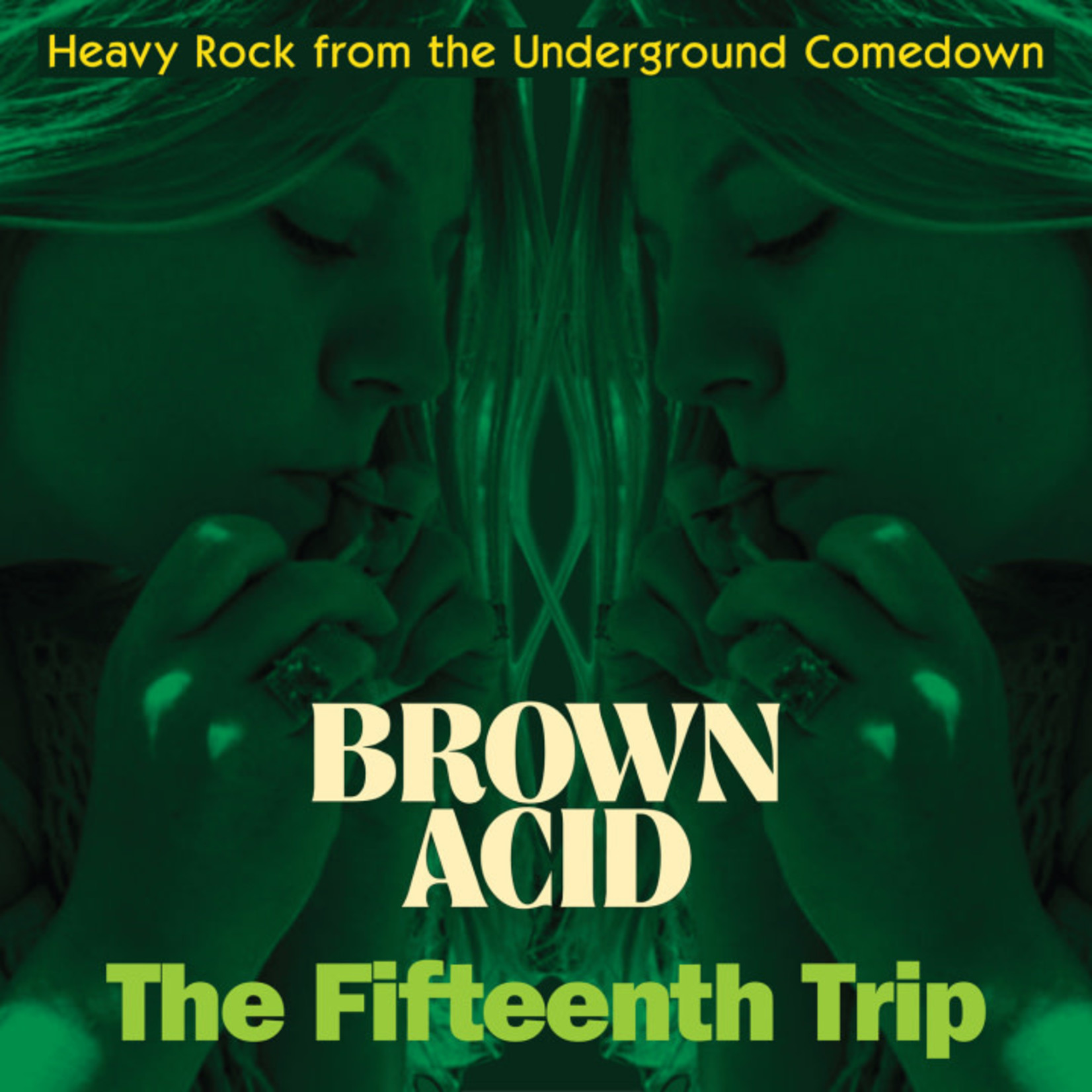 Riding Easy V/A - Brown Acid: The Fifteenth Trip (LP)