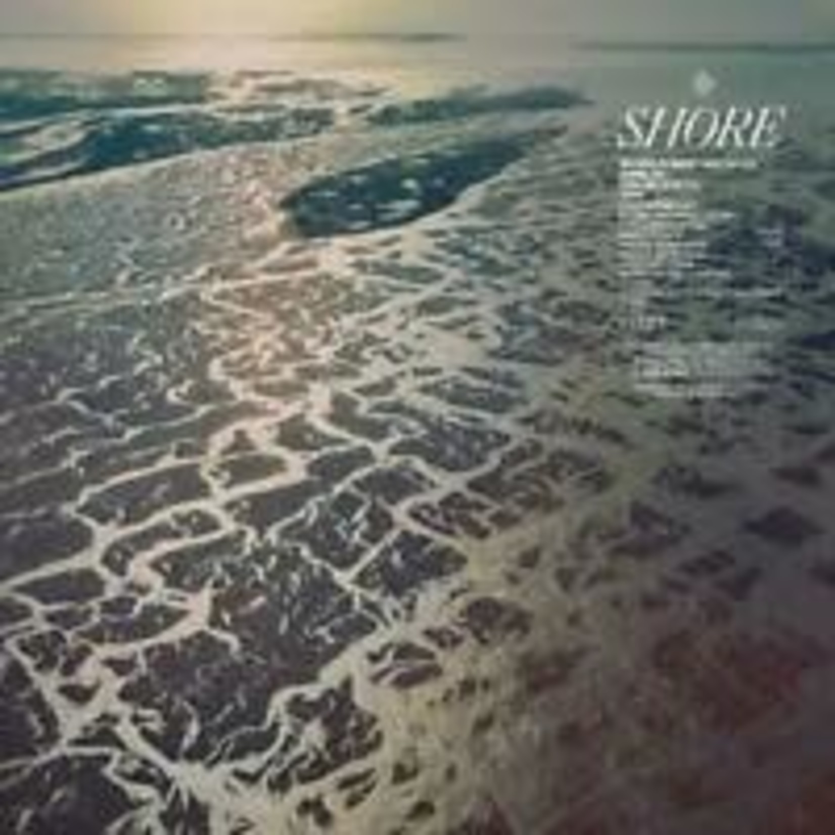 ANTI- Fleet Foxes - Shore (2LP)