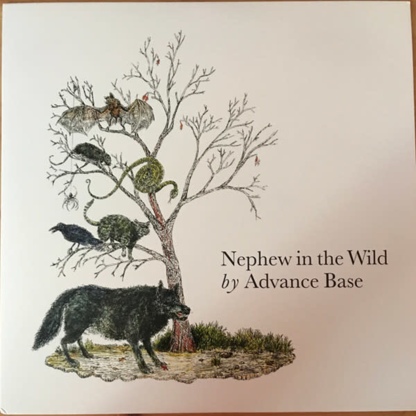 Orindal Advance Base - Nephew In The Wild (LP) [SIGNED]