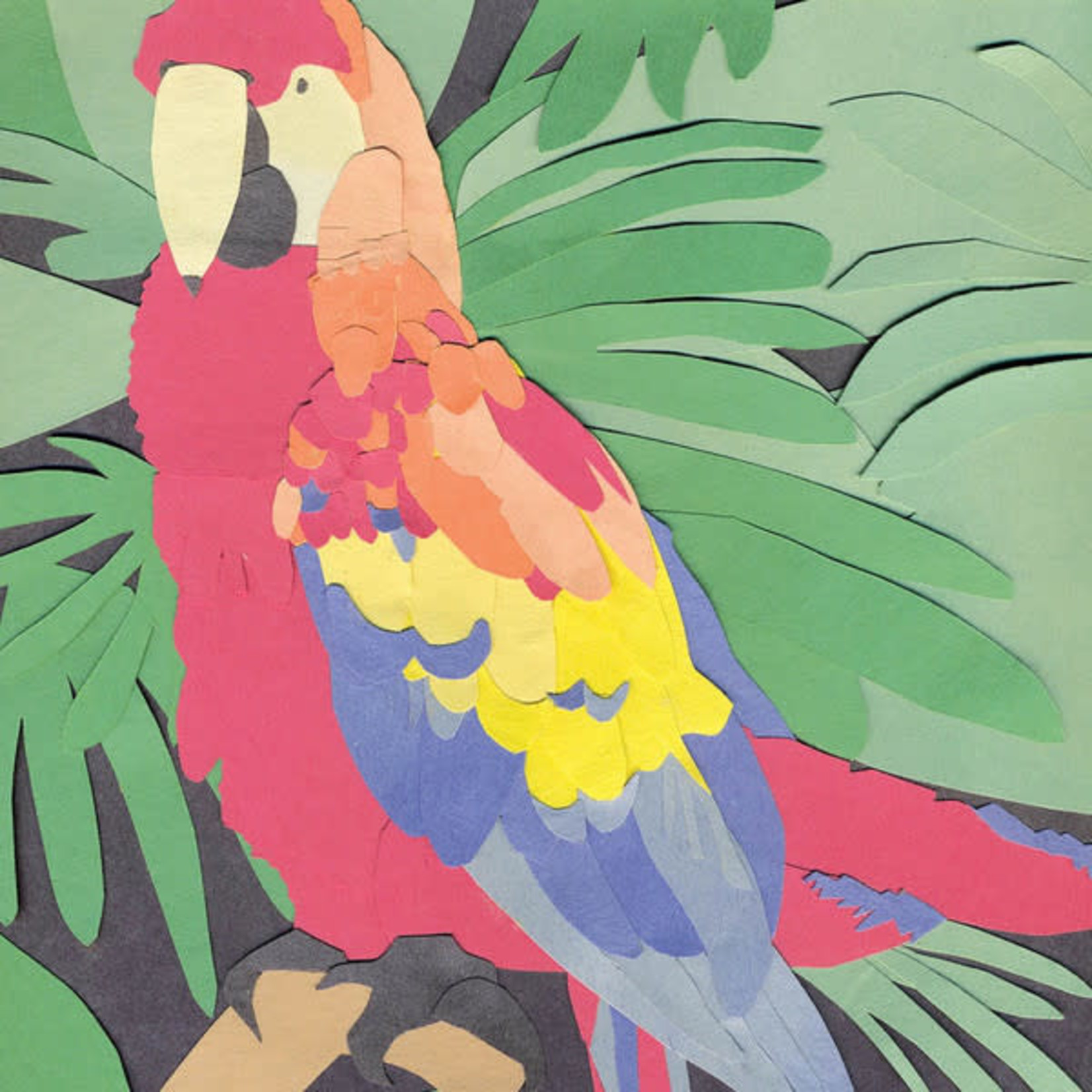 Algernon Cadwallader - Parrot Flies (LP) [Random]