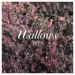 Atlantic Wallows - Spring (LP) [Pink/Green]