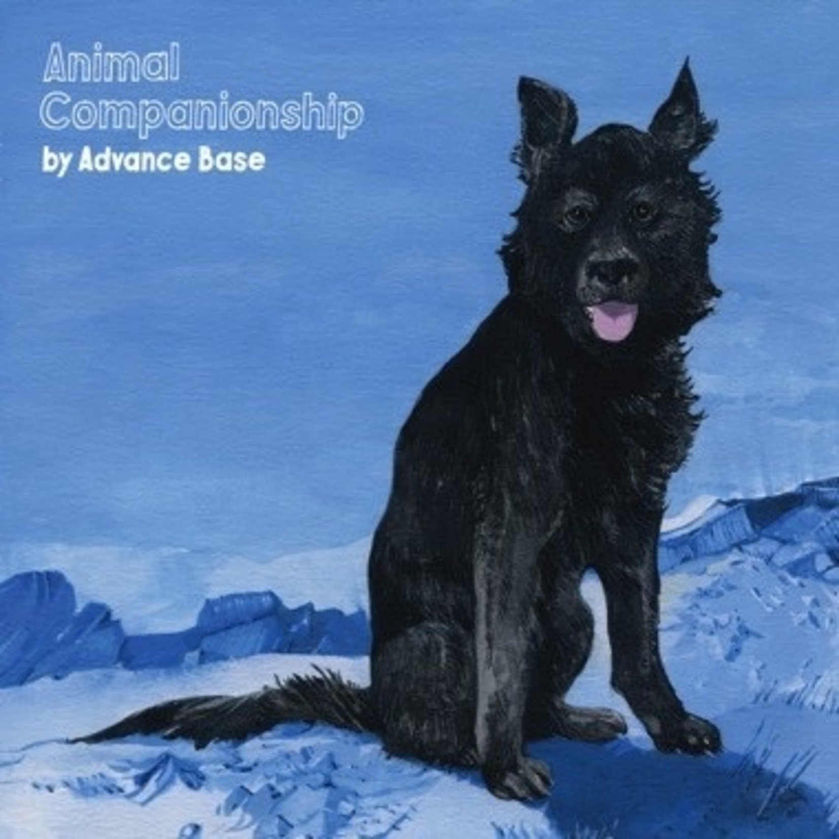 Run For Cover Advance Base - Animal Companionship (LP)