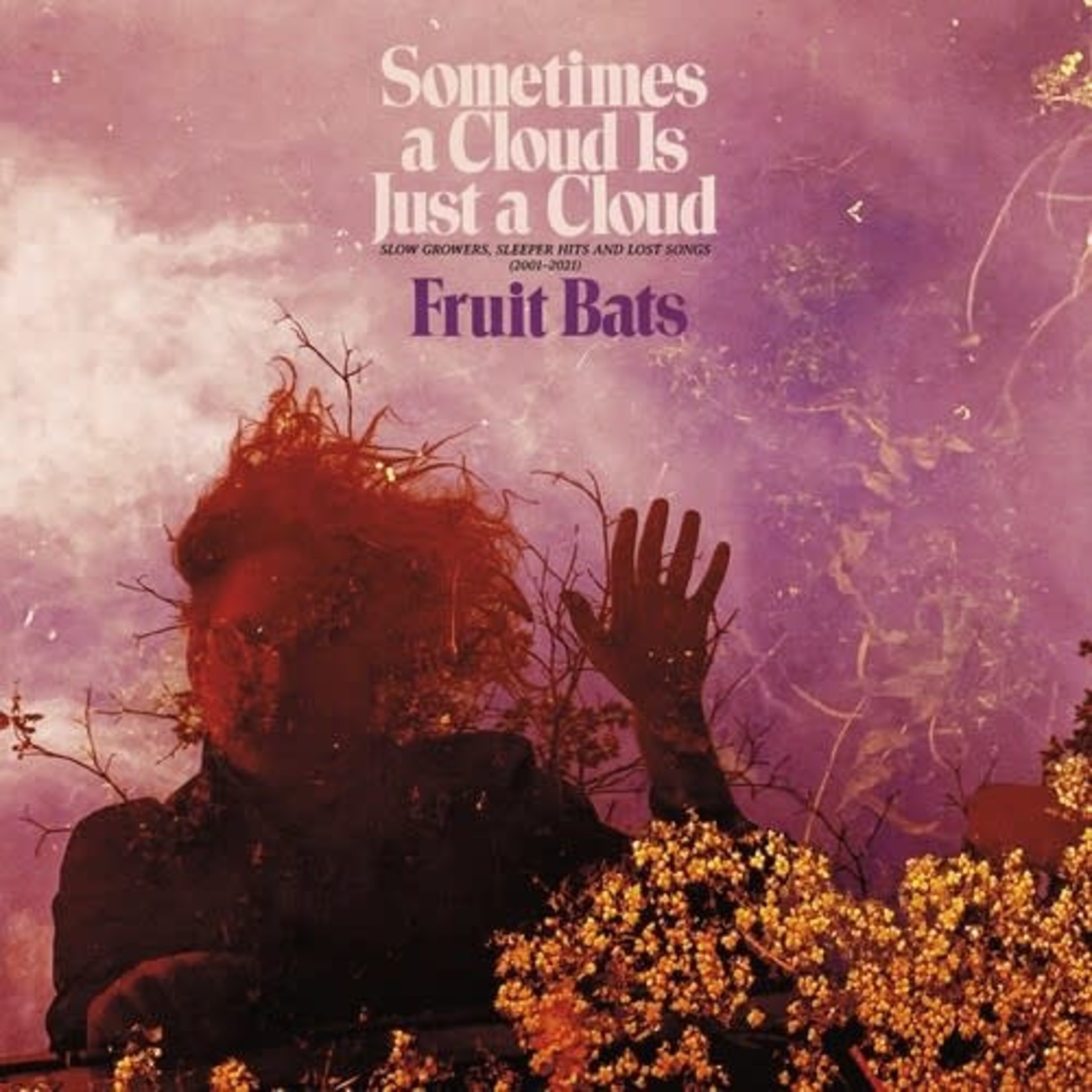 Merge Fruit Bats - Sometimes a Cloud Is Just a Cloud: Slow Growers, Sleeper Hits and Lost Songs 2001–2021 (2LP) [Pink/Violet]