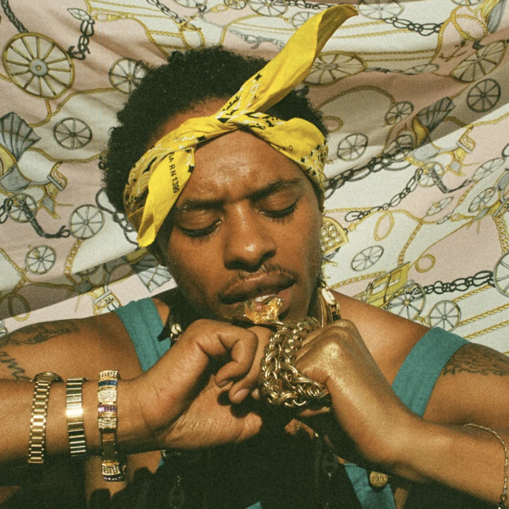 Pink Siifu - Ensley (2LP)