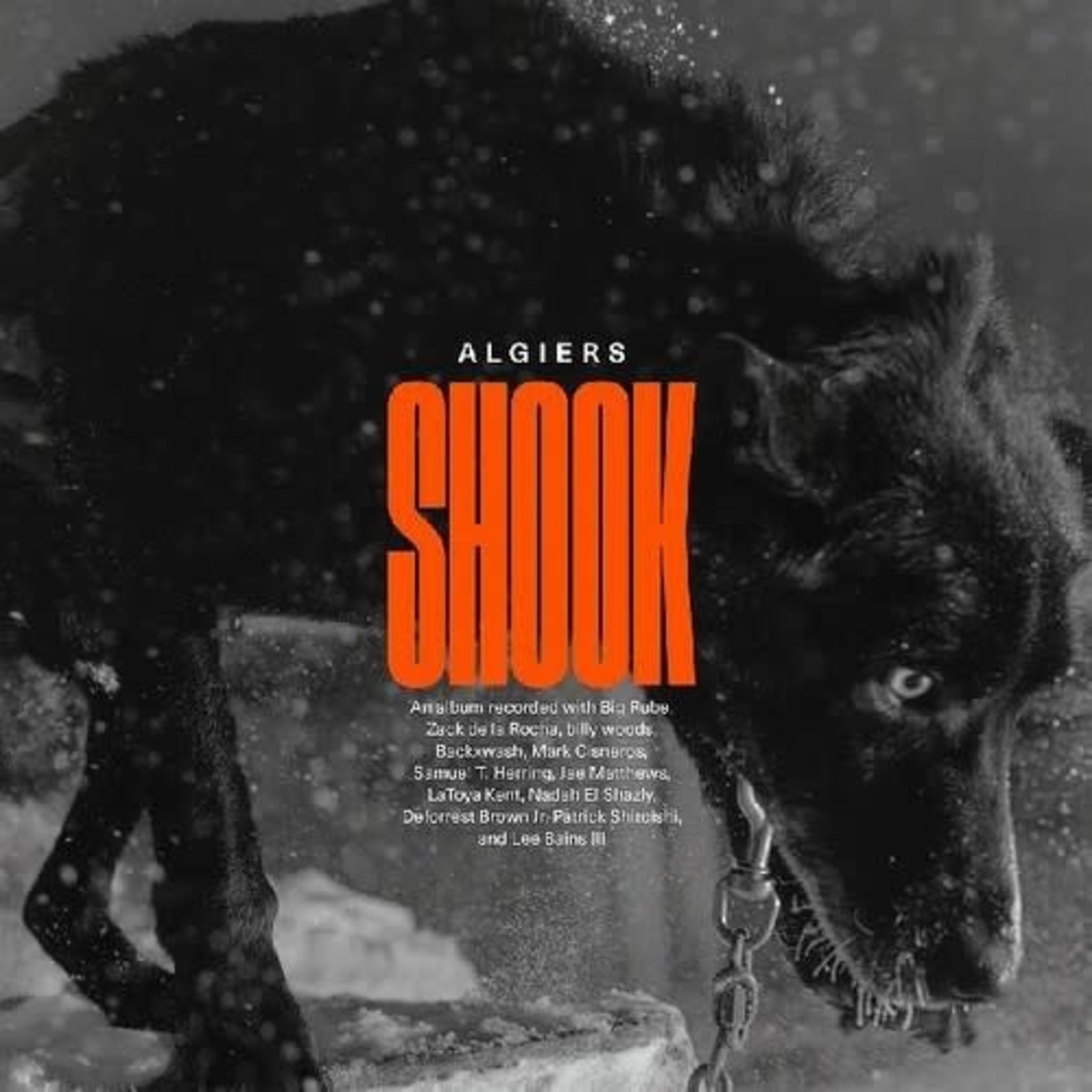 Matador Algiers - Shook (2LP)