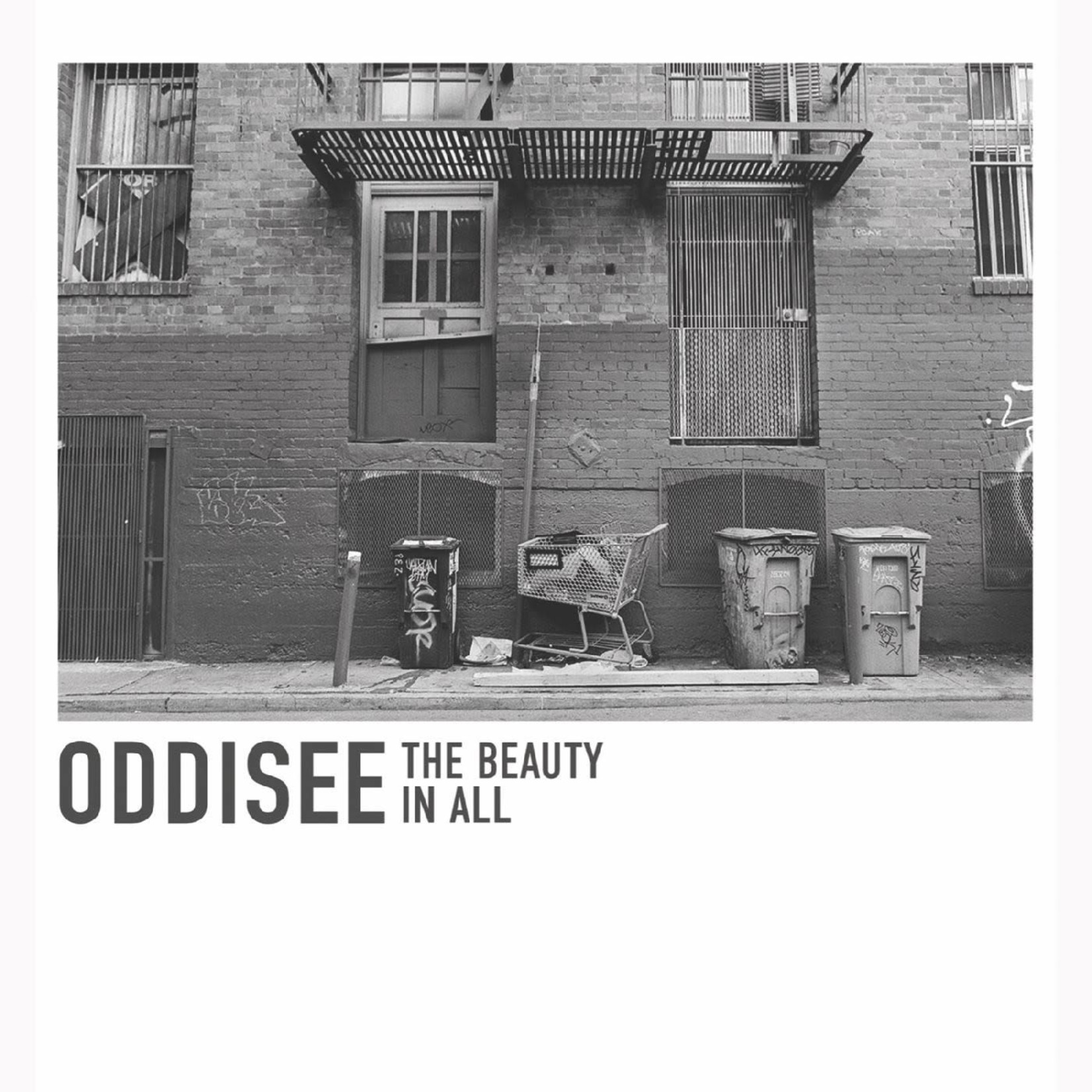 Mello Music Group Oddisee - The Beauty In All (LP) [White]