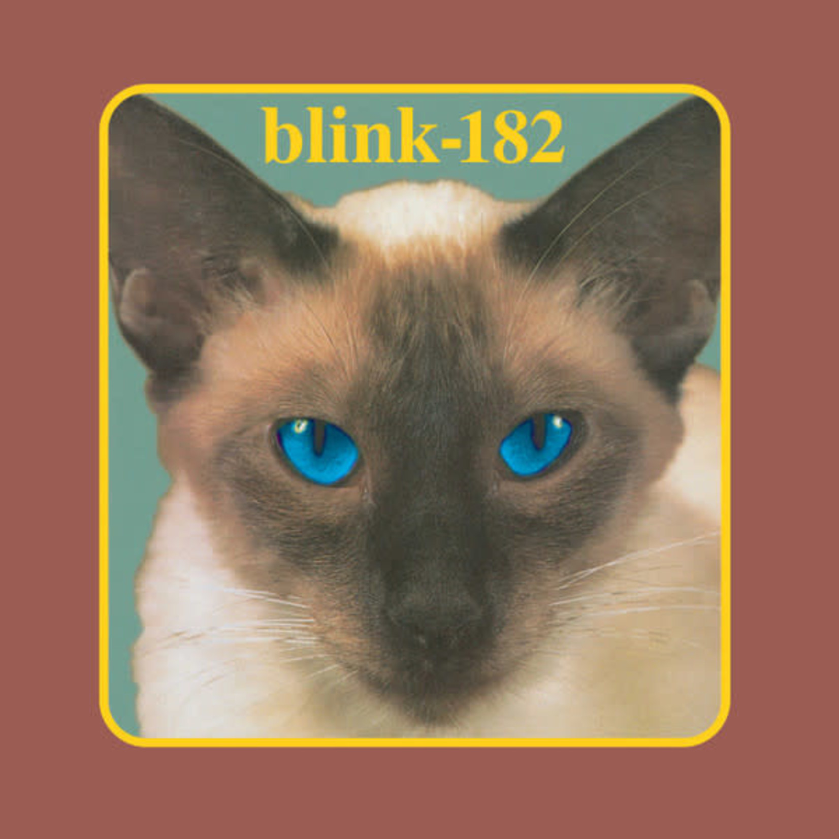 最安値挑戦】 – Blink-182 Cheshire LP アナログレコード Cat 洋楽