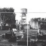 Royal Headache - Royal Headache (LP) [Clear]