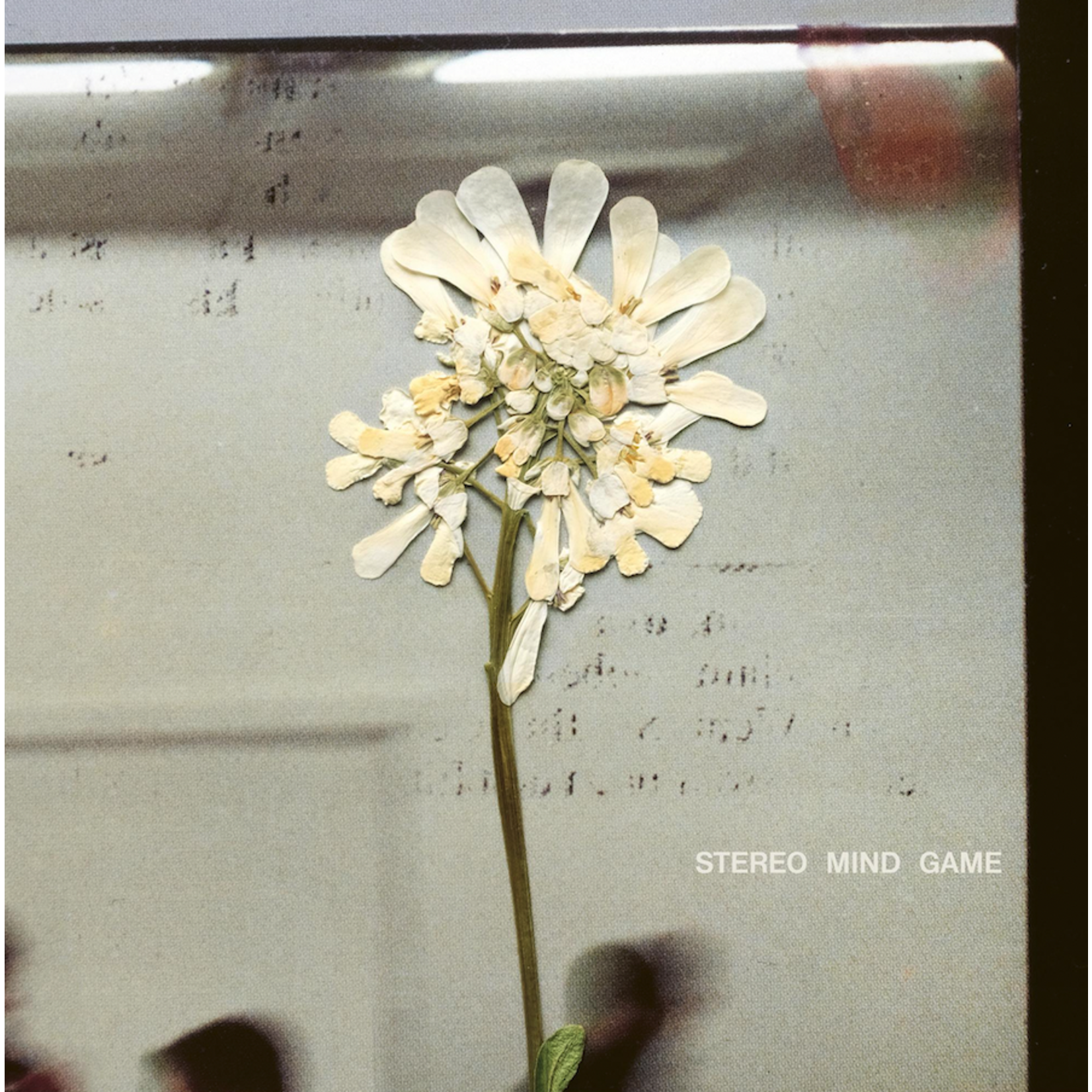Glassnote Daughter - Stereo Mind Game (LP) [Eco-Mix]