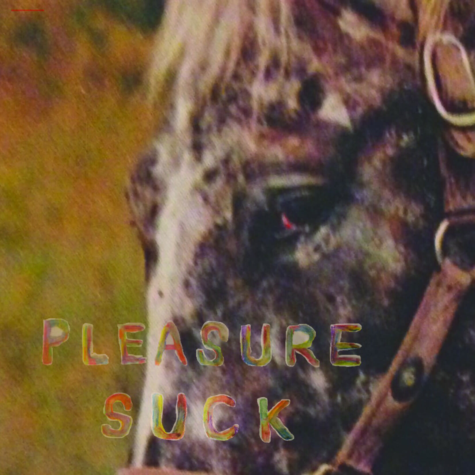 Tiny Engines Spirit of the Beehive - Pleasure Suck (LP) [Orange]