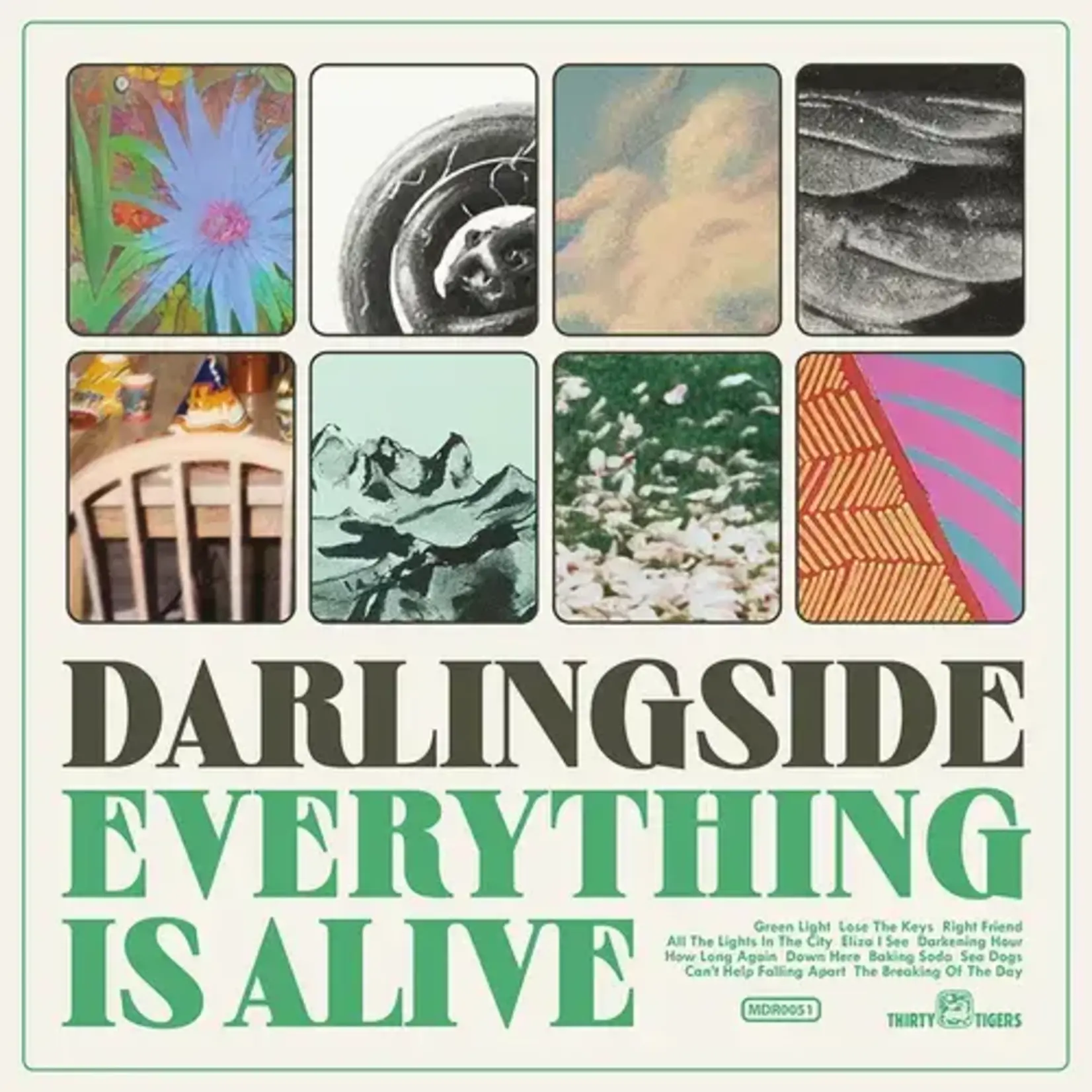 Darlingside - Everything Is Alive (LP)