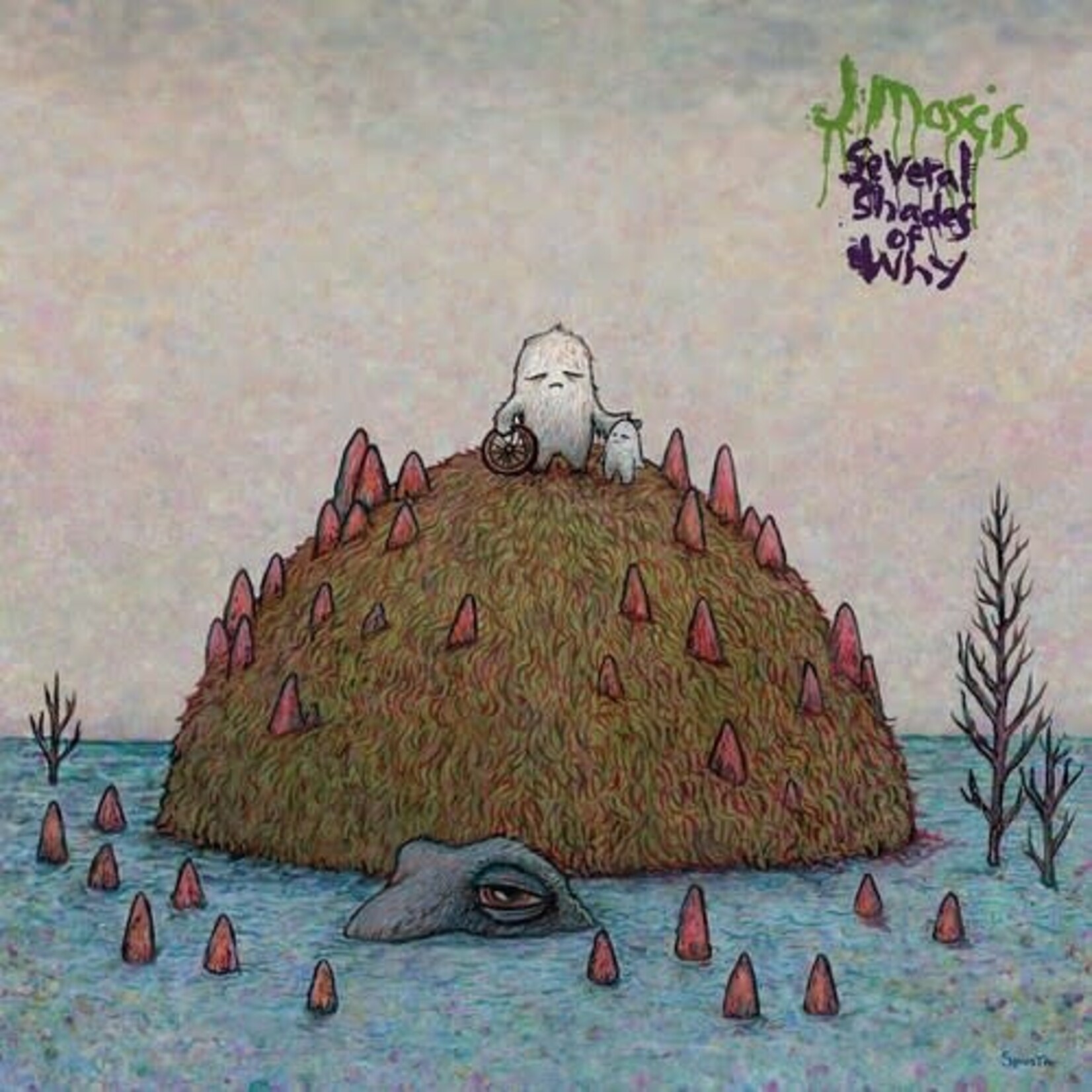 Sub Pop J Mascis - Several Shades of Why (LP)