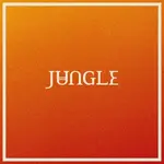 Jungle - Volcano (CD)