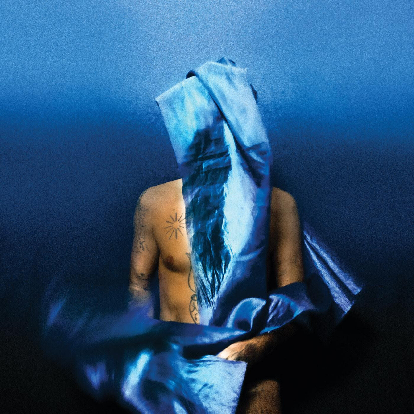 Mexican Summer Devendra Banhart - Flying Wig (LP) [Blue]