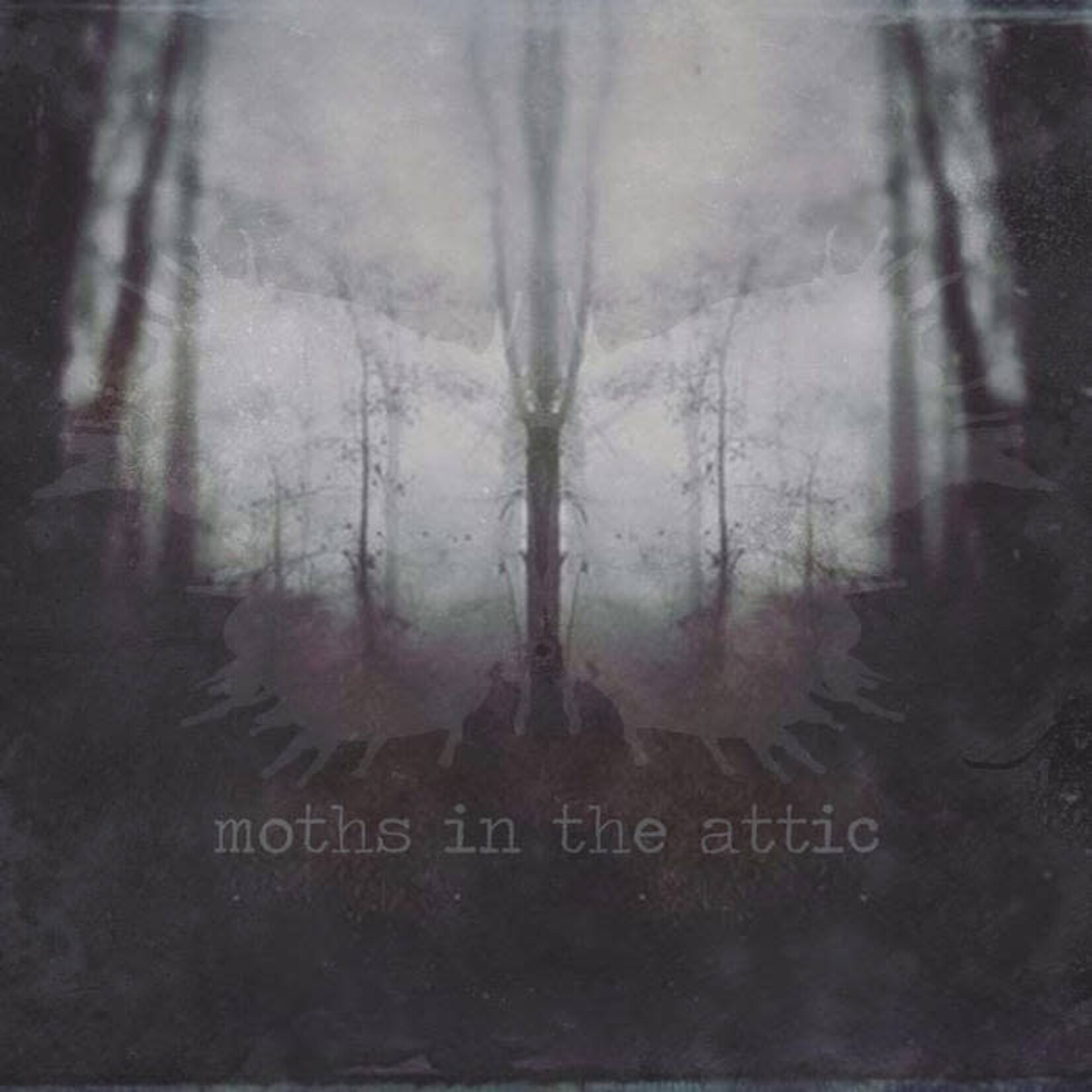 Zack Fletcher - Moths in the Attic (LP)