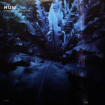Polyvinyl Hum - Downward Is Heavenward (2LP)