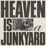 Fat Possum Youth Lagoon - Heaven is a Junkyard (LP)