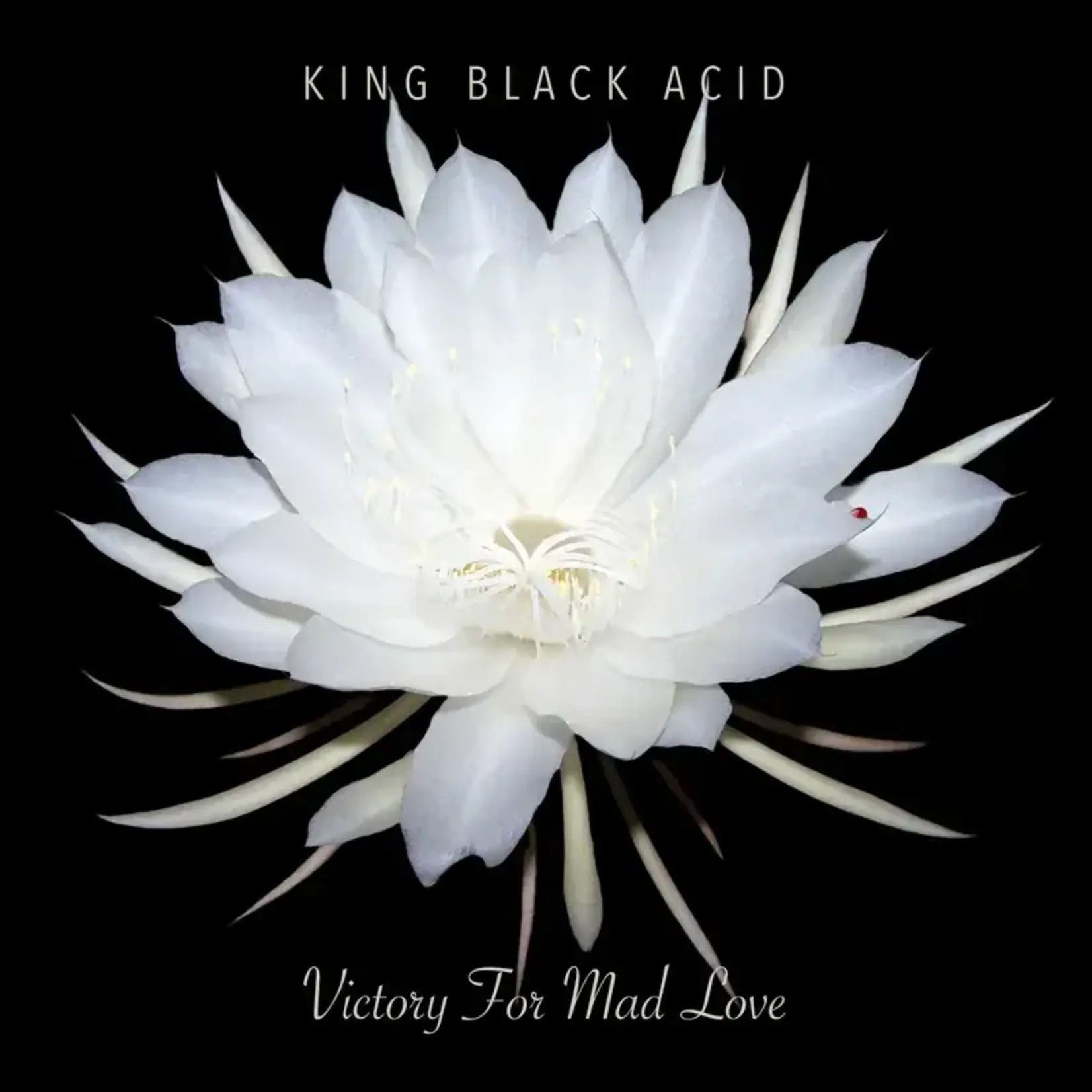 Record Store Day 2008-2024 King Black Acid - Victory For Mad Love (LP)
