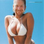 Warp Aphex Twin - Windowlicker (LP)