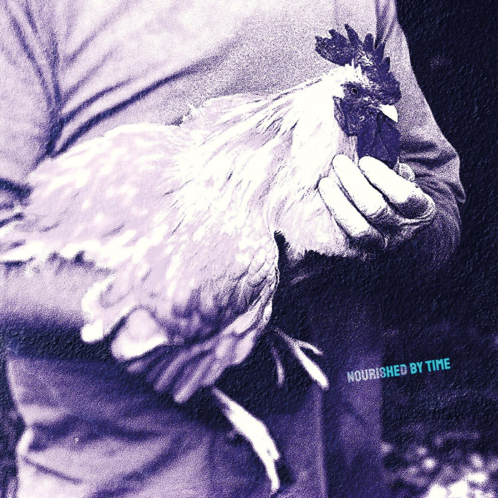 XL Recordings PRE-ORDER Nourished by Time - Catching Chickens (12")